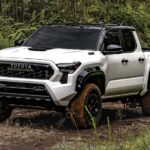 Los mejores hoteles para pasar un huracán en Florida en el 2025 »